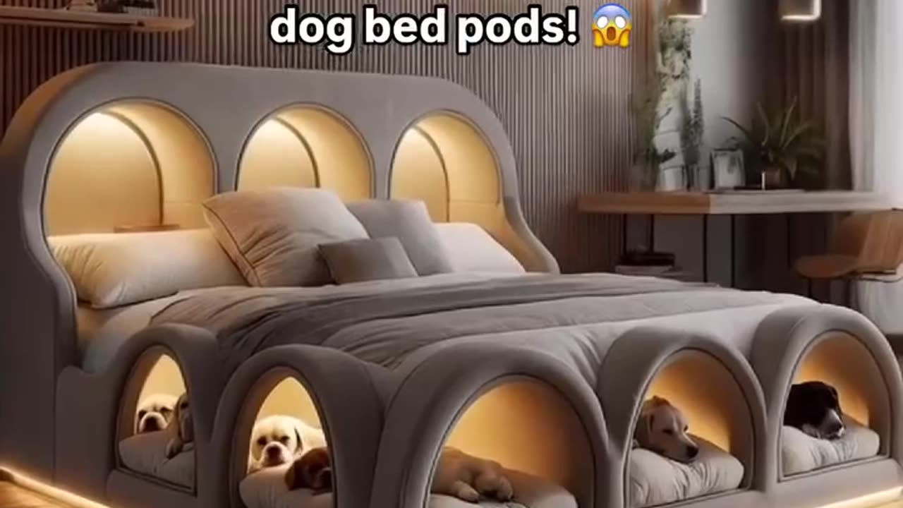 Beds With Built In Dog Bed Pods