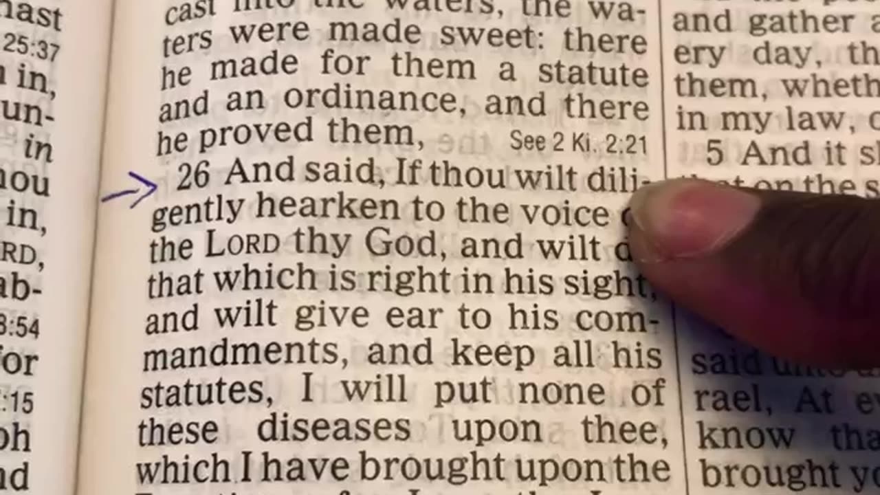 chosen ones daily scripture Exodus 15_26 listen to the lord and do what’s right in his eyes!