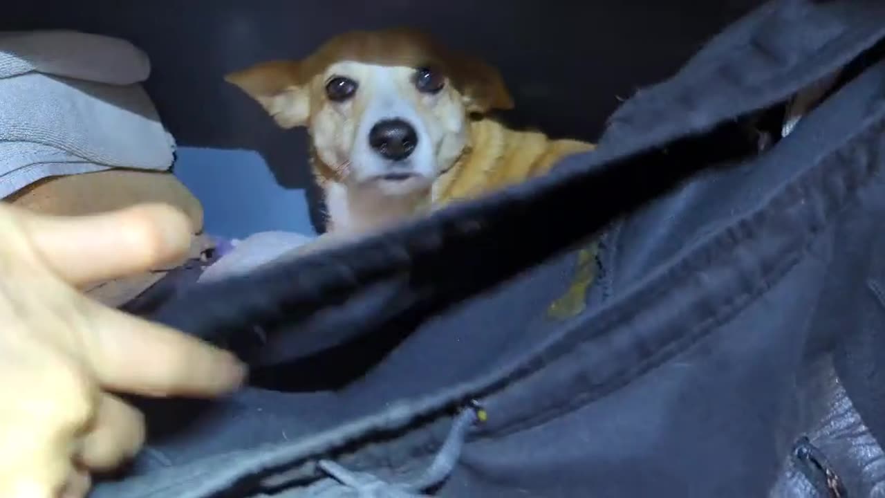 2023-02-08 (3) - Trace - Twitch Meutemediatique (clip)