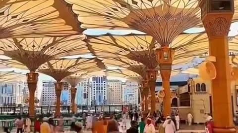 The world's largest Umbrella