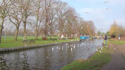 Burton Canal