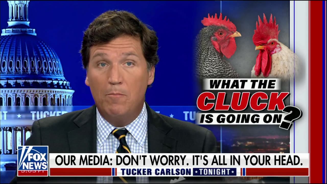 What the Cluck? Pfizer Direct Evolve A_Shrier Trans V_Nuland Pipeline Sabotage Admission H_McDonald