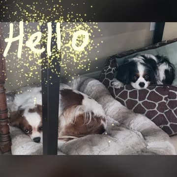 Don’t bother us… just want to take a nap