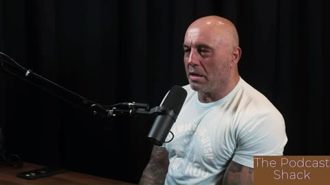 Joe Rogan On Art