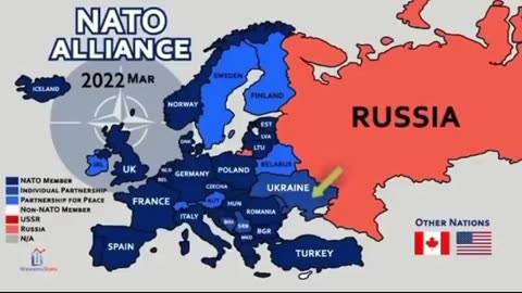 Spot the Aggressor