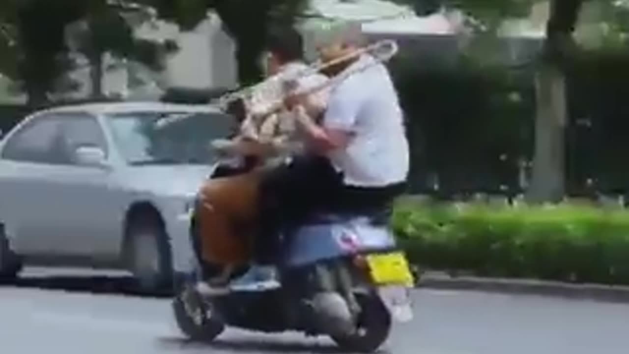 Not a Motor Sound
