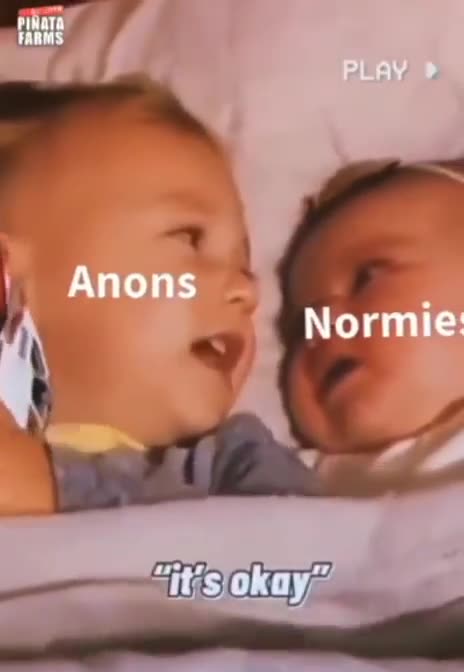 DO NOT FEAR - ANONS VS NORMIES