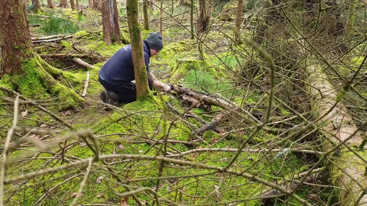Lemon Crunchy Chicken cooked in the middle of the forest. ASMR cooking. NO TALK