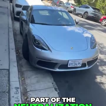 Neutralizing Immigration: The Hidden Agendas in Politics