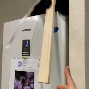 Leopard Luna learned from Venza to bite sticks