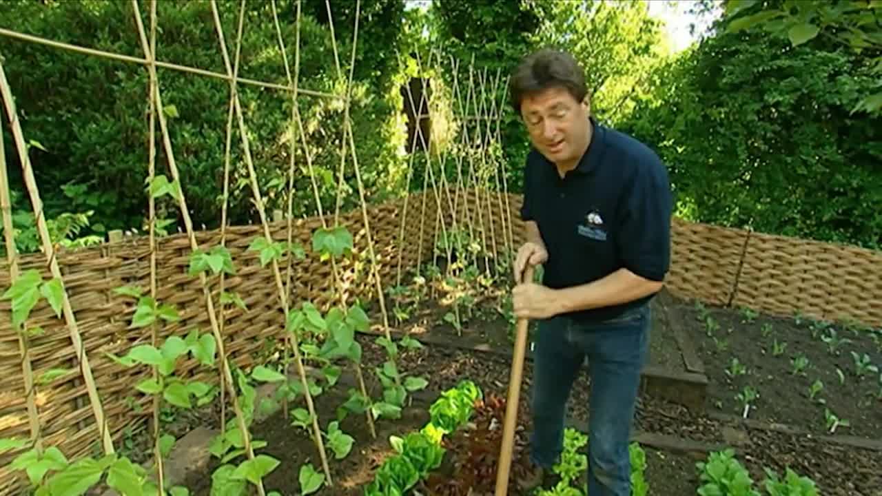 How to Be a Gardener episode 6