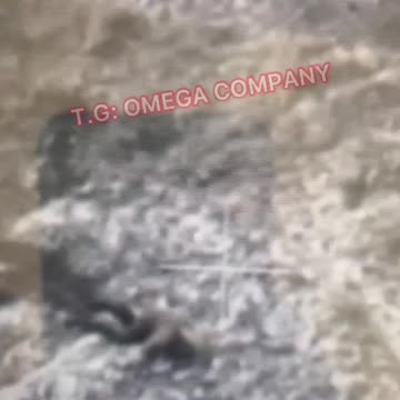 Where are they Going