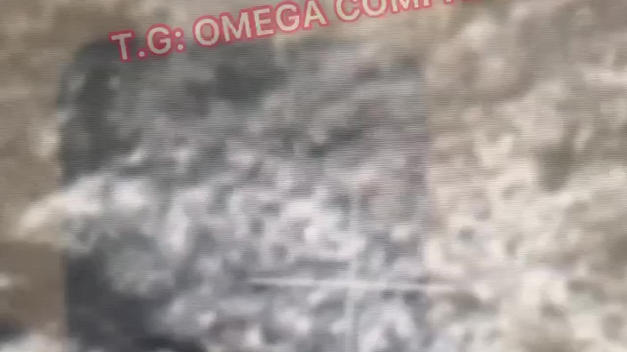 Where are they Going