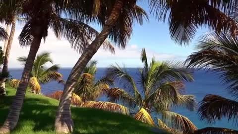 Relaxing Music | Sleeping, Meditation, Stress Relief | [6941] ⭐️