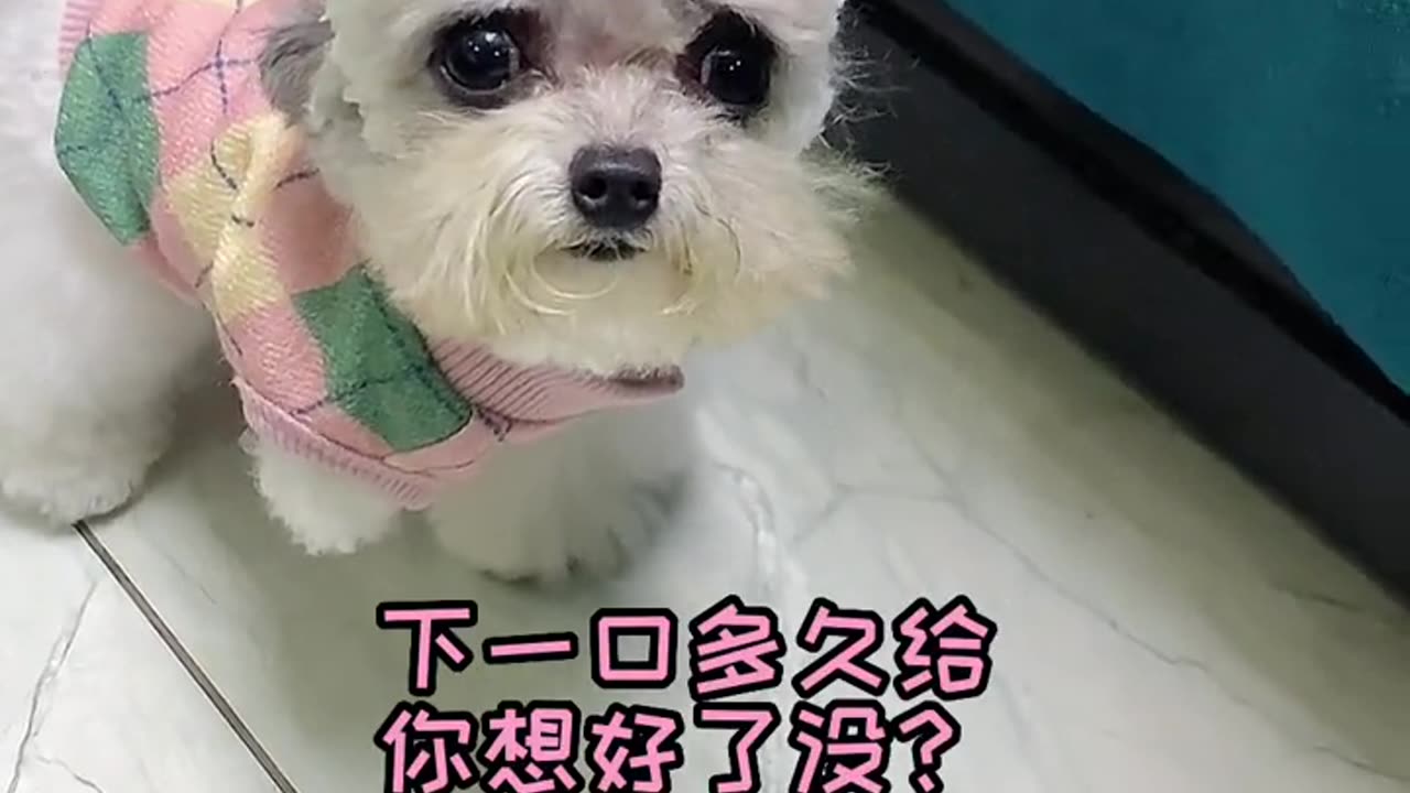 Aunt, you said that mommy will have the heart to refuse