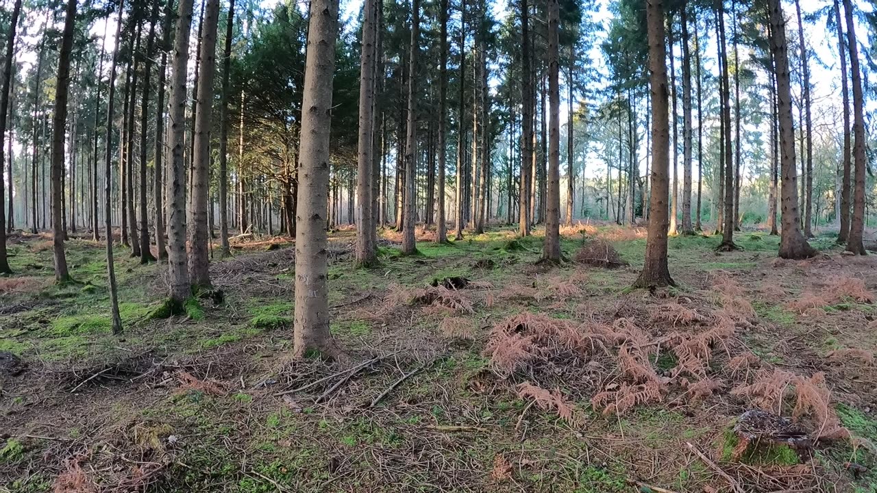 Where shall I put my pack down. Vlog. 18th Jan 2023