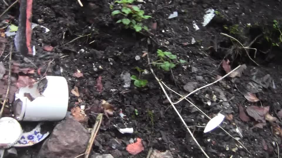 Forest hunt and bottle digging