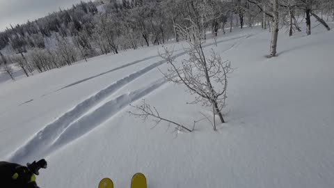 Feb 7th promising start of the day