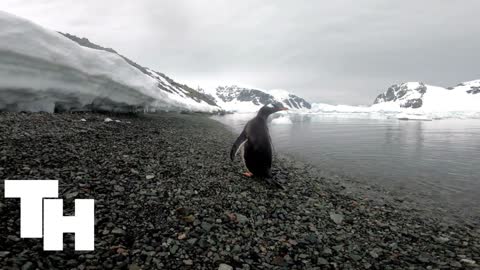 Antarctica
