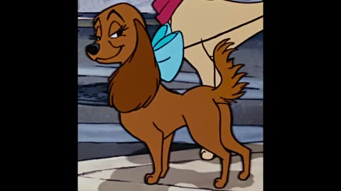 Lady Cocker Spaniel Twerking