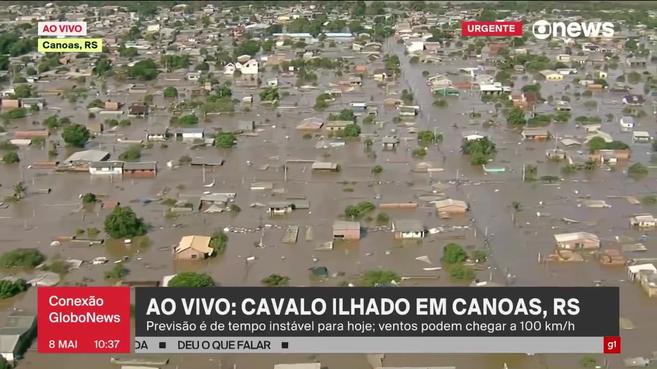 A Horse Escapes From Flooding On The Roof