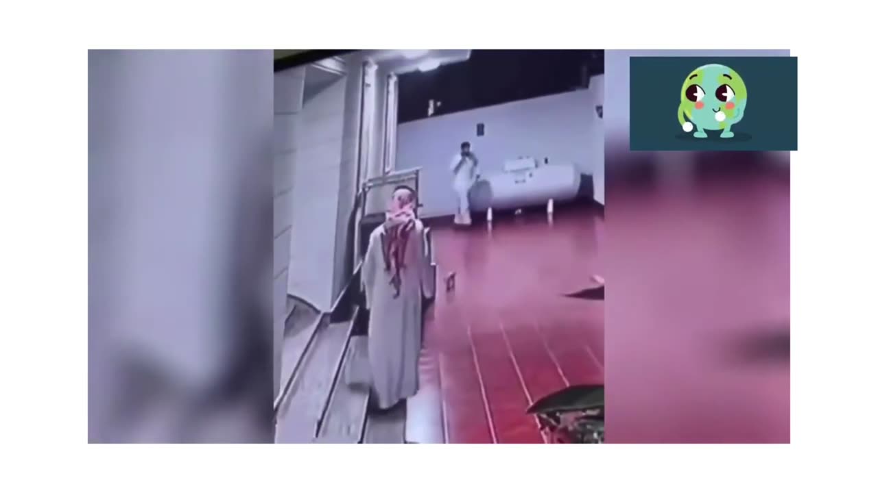 "Cat vs. Sheikh and Glass Door Fails: Hilarious Compilation"