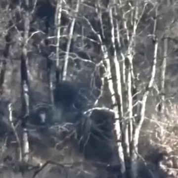 Kamikaze Drone Smashes into 3 Russian Soldiers