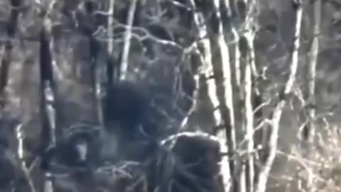 Kamikaze Drone Smashes into 3 Russian Soldiers