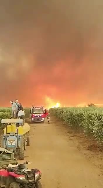 Fire tornado in Chile