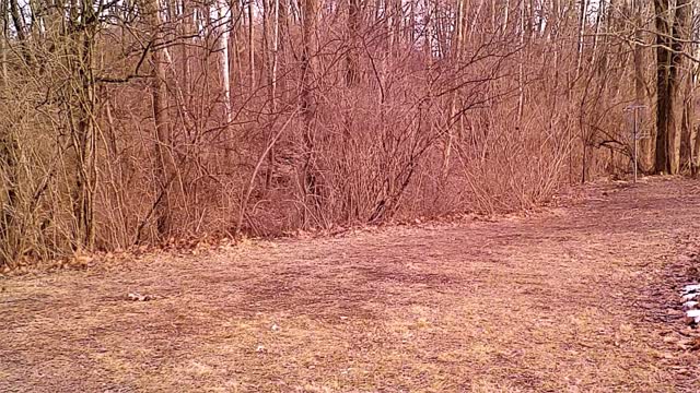 Frolic At Flory Park Pt 2 !