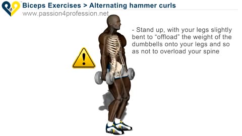 Alternating hammer curls (standing with dumbbells)