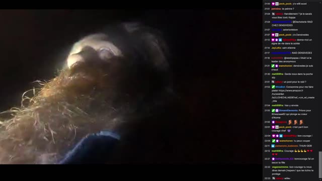 2023-02-11 (3bis) - Armoire du soir - Twitch Decheterie (version avec chat)