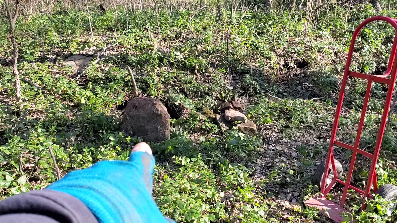 ...location on my wooded property where I got some rocks for a pond