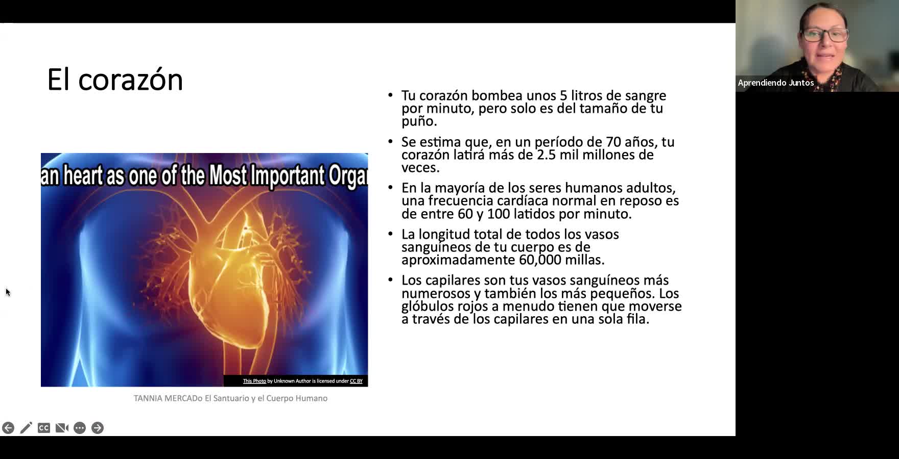 La Mesa de los Panes y el cuerpo humano Enero 23
