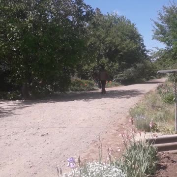 Stranger on the street