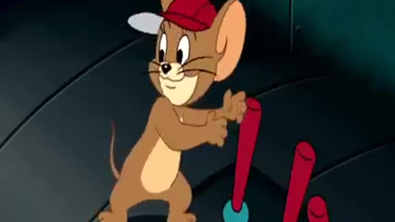 Tom and Jerry Cartoon Video