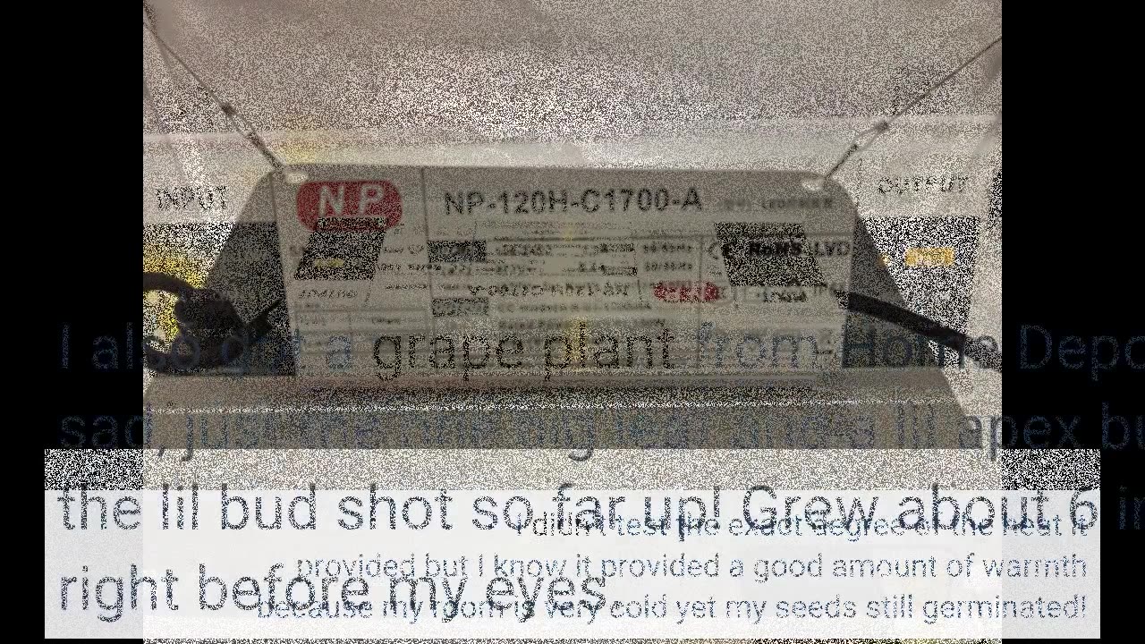GROWSTAR Newest LZB4000 Led #GrowLight with Full Spectrum-Overview