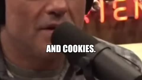 Joe Rogan Reaction to The Rock Cheat Day