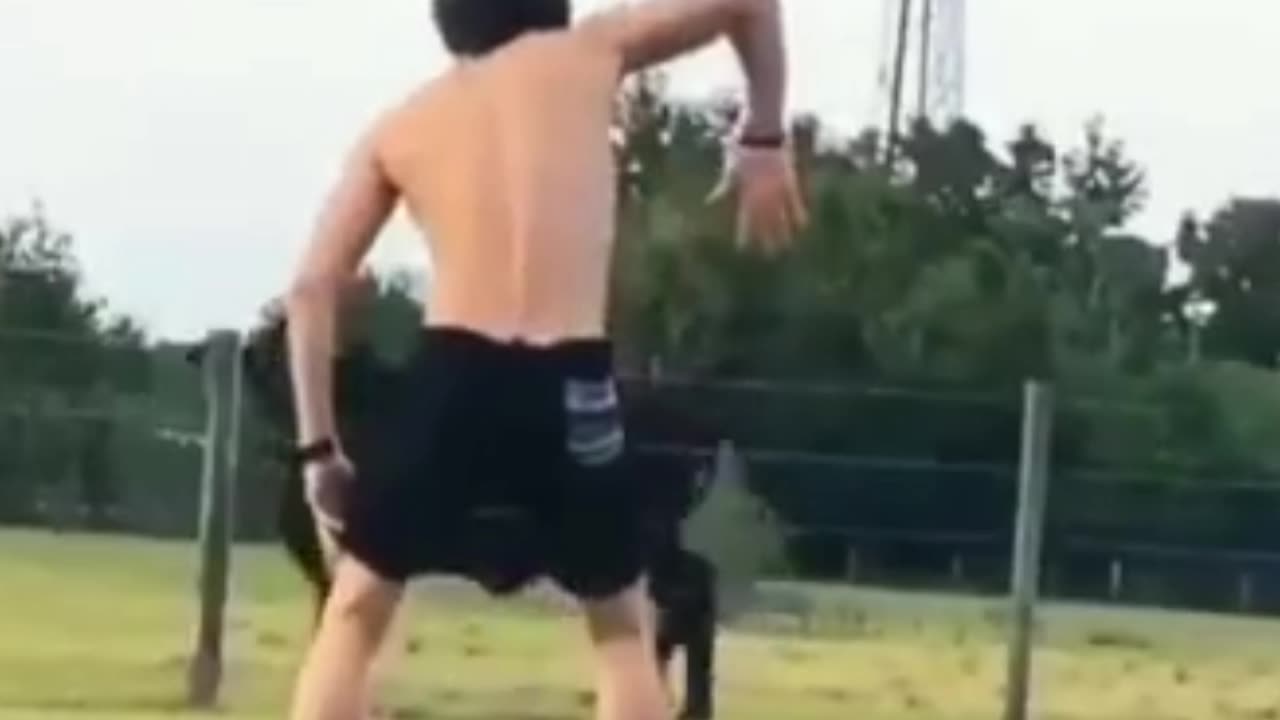Actions that can run all animals
