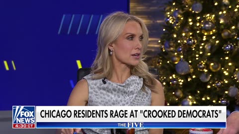 'The Five': Chicago residents rage at 'crooked Democrats'