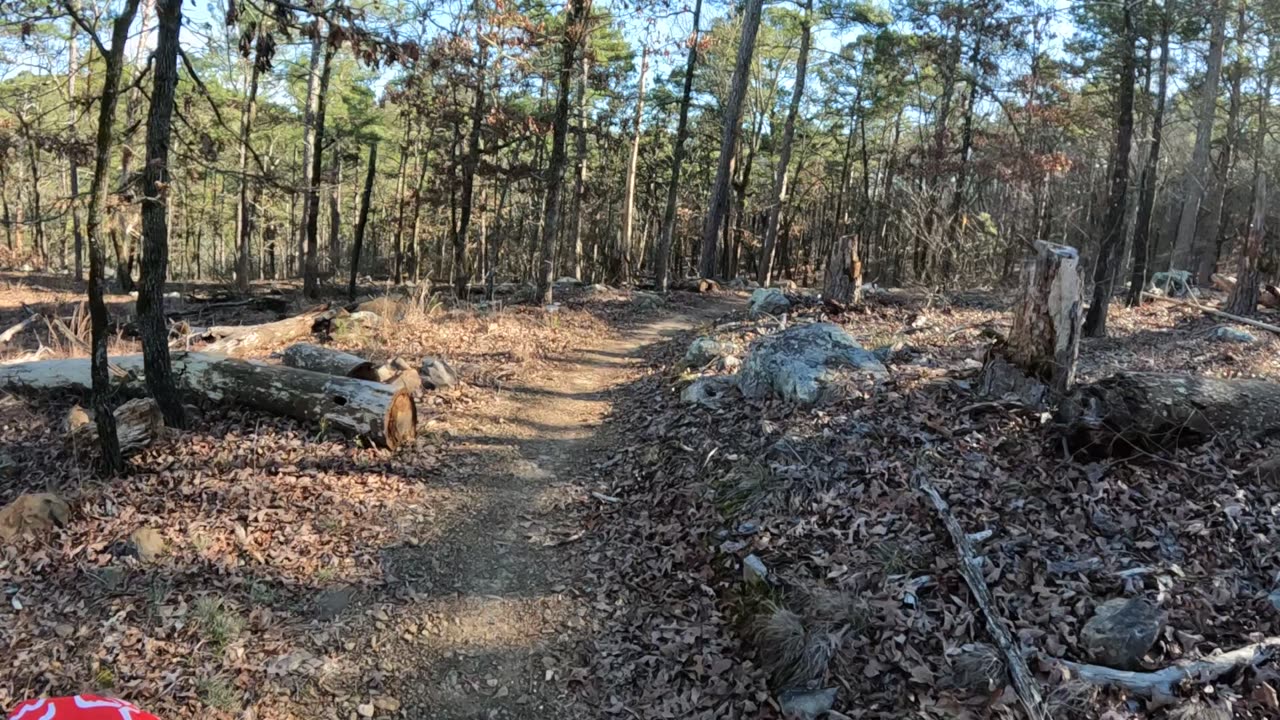 Life after 60, Monument Trail Series, Pinnacle Mountain, Coachwhip part 2-