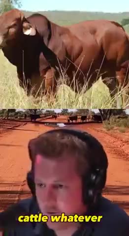 CHINA OWNS A HUGE AMOUNT OF AUSTRALIA