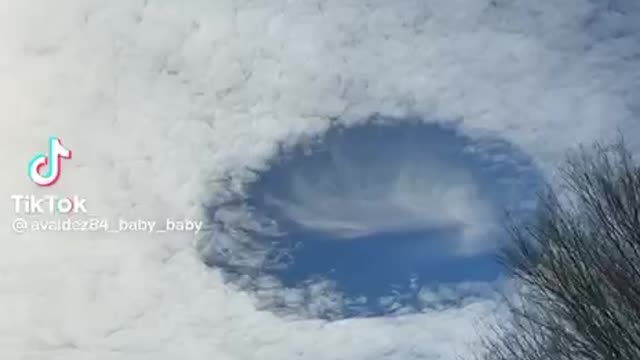 구름 빵꾸내기-하프