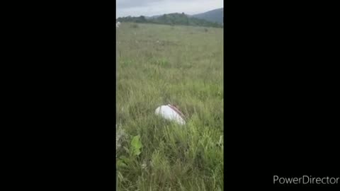 WATCH: Two die in Mbombela plane crash near old Nelspruit Airport