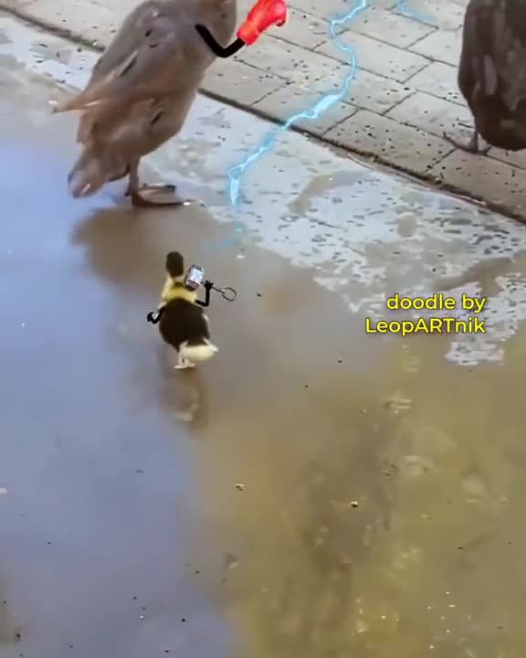 Sketching Sky Dwellers: My Bird Art Process