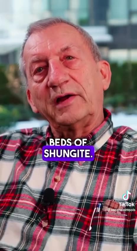 EVERYONE SHOULD HAVE SHUNGITE🔥🔥🔥