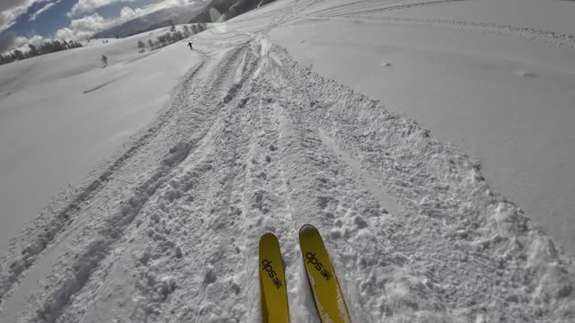 Jan 28th one more time down the Y