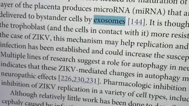 My oldest file with “exosome” in it was Robert Malone describing how Zika penetrates the placenta!