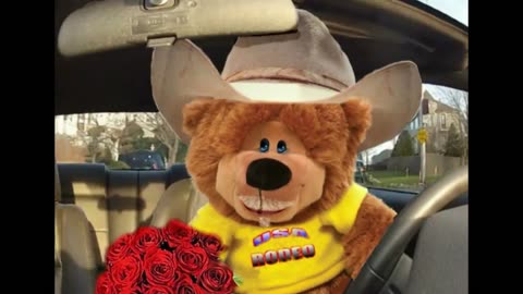 Cowboy Dana
