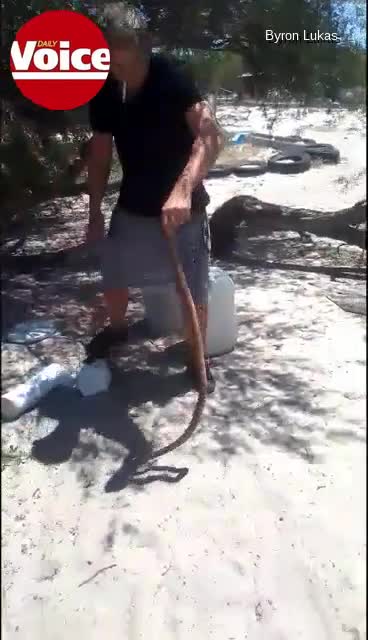 A good morning hiss: Ou wakes up to snake tieping on his kop